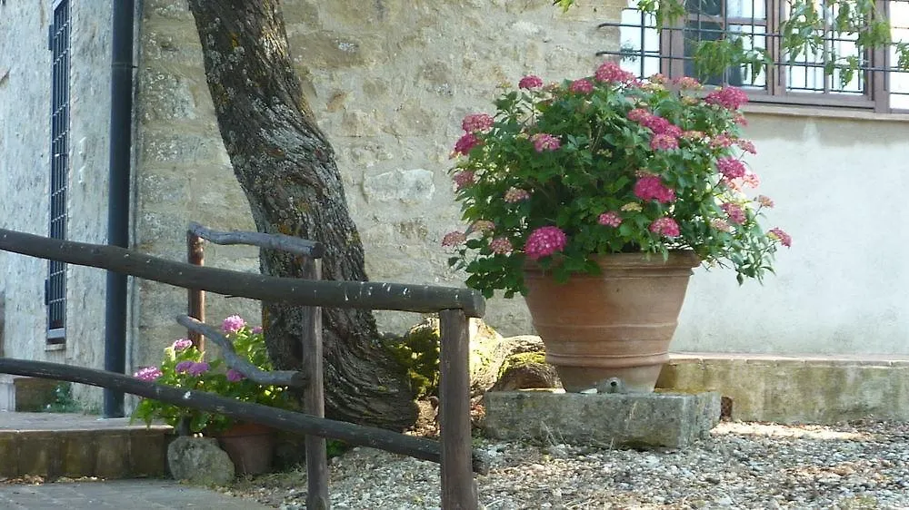 Agriturismo Bellavista Radicondoli